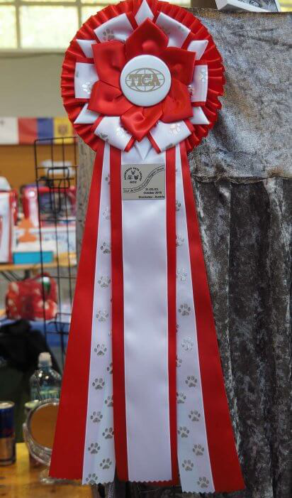 TICA-Auszeichnung mit roten und weißen Bändern, dekoriert mit Pfotenmotiven.