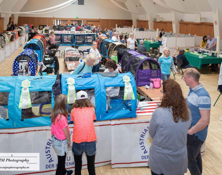 Vielseitige Katzenausstellung mit Besuchern und verschiedenen Zuchtboxen in einem großen Raum.