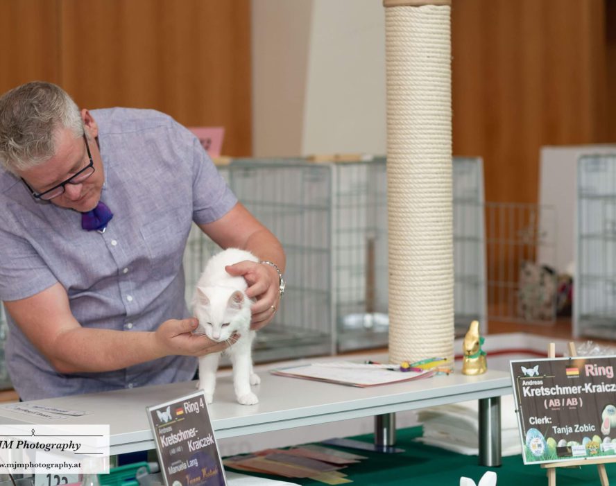 Ein Züchter präsentiert eine weiße Katze auf einer Katzenausstellung mit Schildern im Hintergrund.