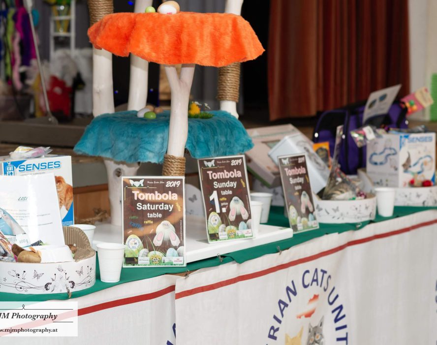 Bunte Tombola-Tische bei einer Katzenveranstaltung von Austrian Cats United.
