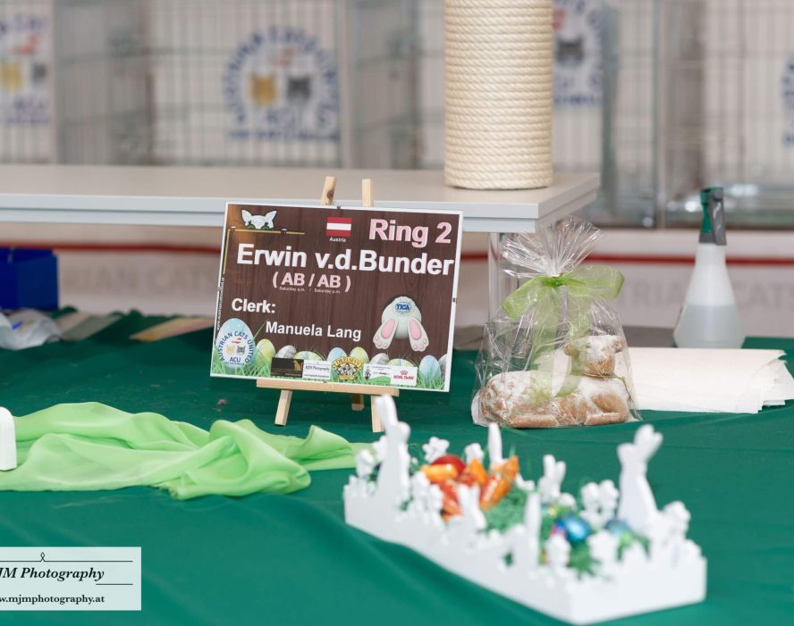 Tisch mit Namenschildern und Deko für eine Katzenausstellung in Österreich.