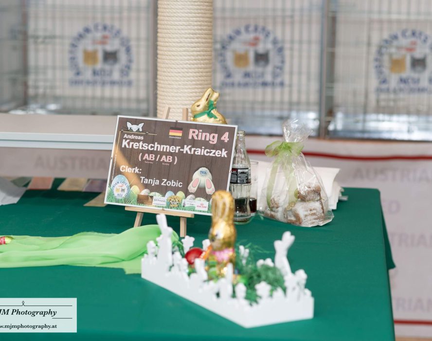 Tischdeko mit Richterschild für Katzenausstellung, grüne Unterlage, Kleinigkeiten.