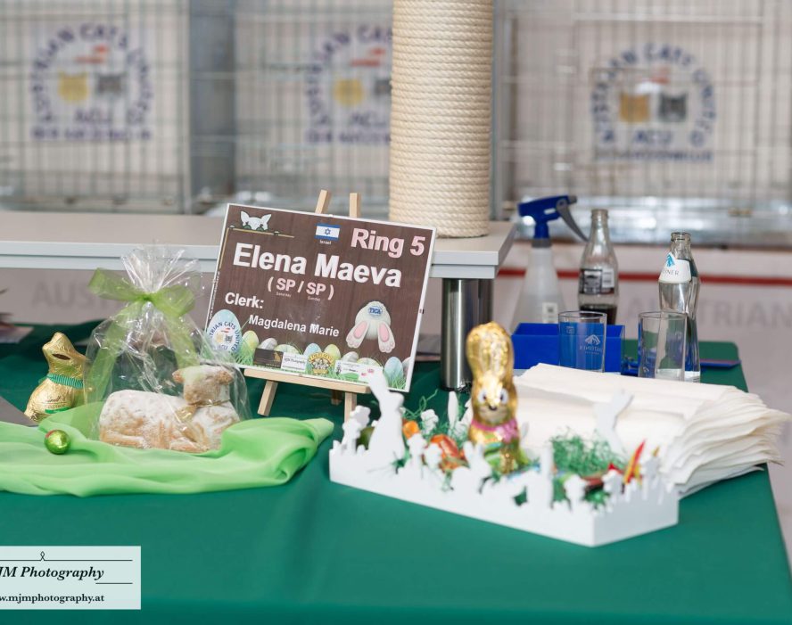 Tischdekoration mit Namensschild, Preisen und Utensilien für Katzenausstellung.