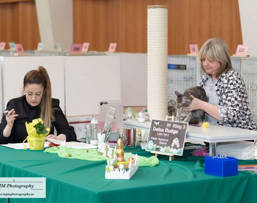 Zwei Frauen an einem Tisch mit Katze und Zuchtinformationen bei einer Katzenausstellung.