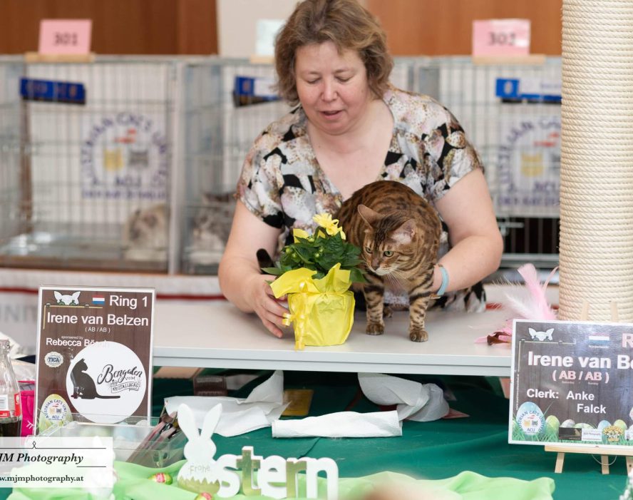 Frau mit brauner Katze und Blumentopf an Tisch bei Katzenausstellung von ACU.