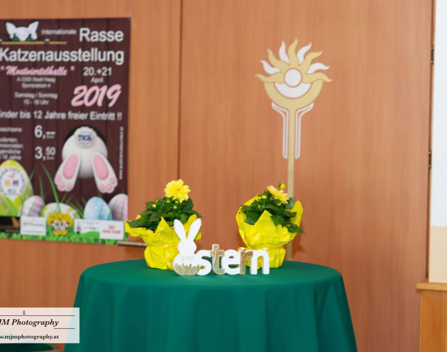 Tischdeko mit Pflanzen und Schild für Katzenausstellung, im Hintergrund ein Veranstaltungsposter.
