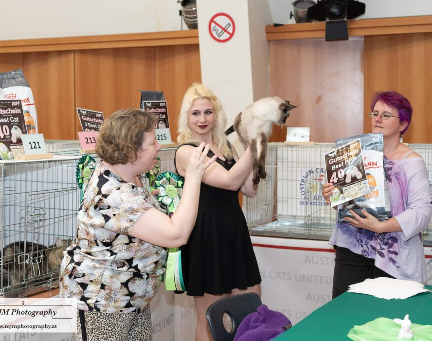 Katzenliebhaber beim Austausch auf einer Katzenausstellung mit Preisen und Futter.