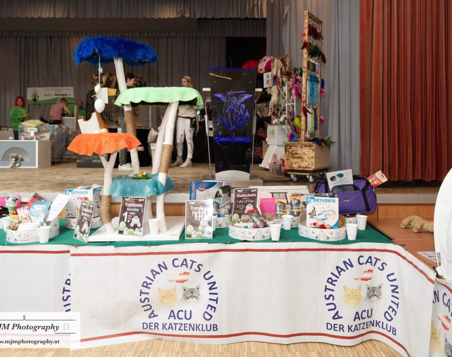 Stand mit Informationen und Produkten von Austrian Cats United auf einer Katzenausstellung.