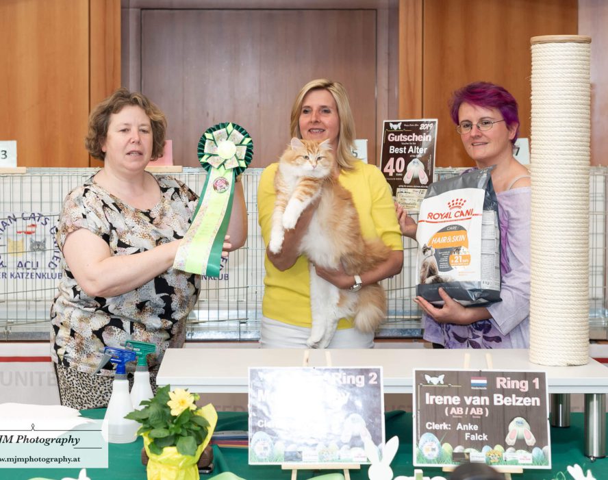 Drei Frauen an einer Katzenschau mit Katze, Auszeichnung und Futter in der Hand.