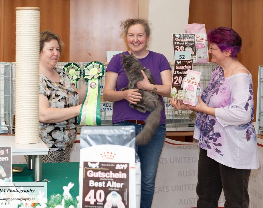 Drei Frauen präsentieren Preise und Trophäen auf einer Katzenausstellung von Austrian Cats United.
