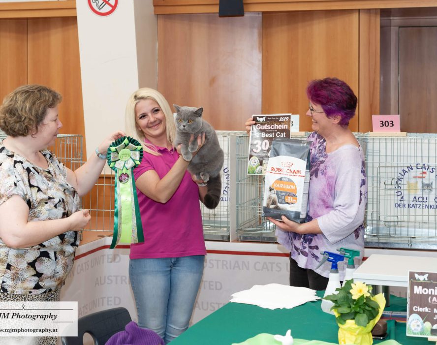Drei Frauen präsentieren Preise und eine Katze auf einer Katzenausstellung von Austrian Cats United.