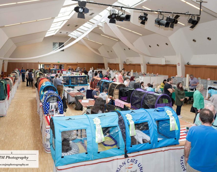 Vereinsausstellung mit Katzenausstellern und Besuchern in einem großen Veranstaltungsraum.